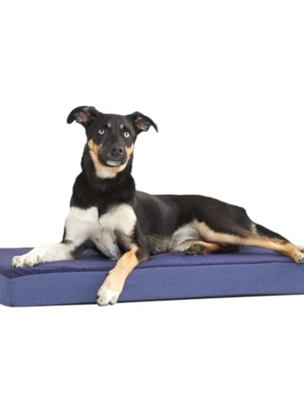 New Orthopedic Dog Bed with Memory Foam, Premium Comfort for Dogs and Puppies